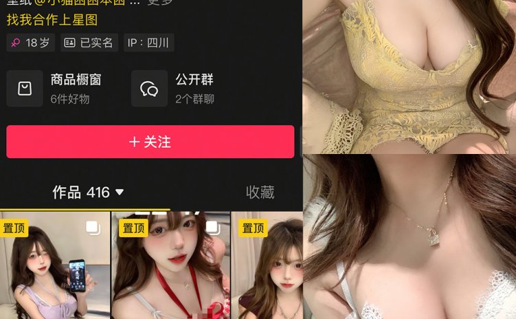 抖音 小猫困困 微密圈 NO.004期 【17P3V】最新至：2025.2.9